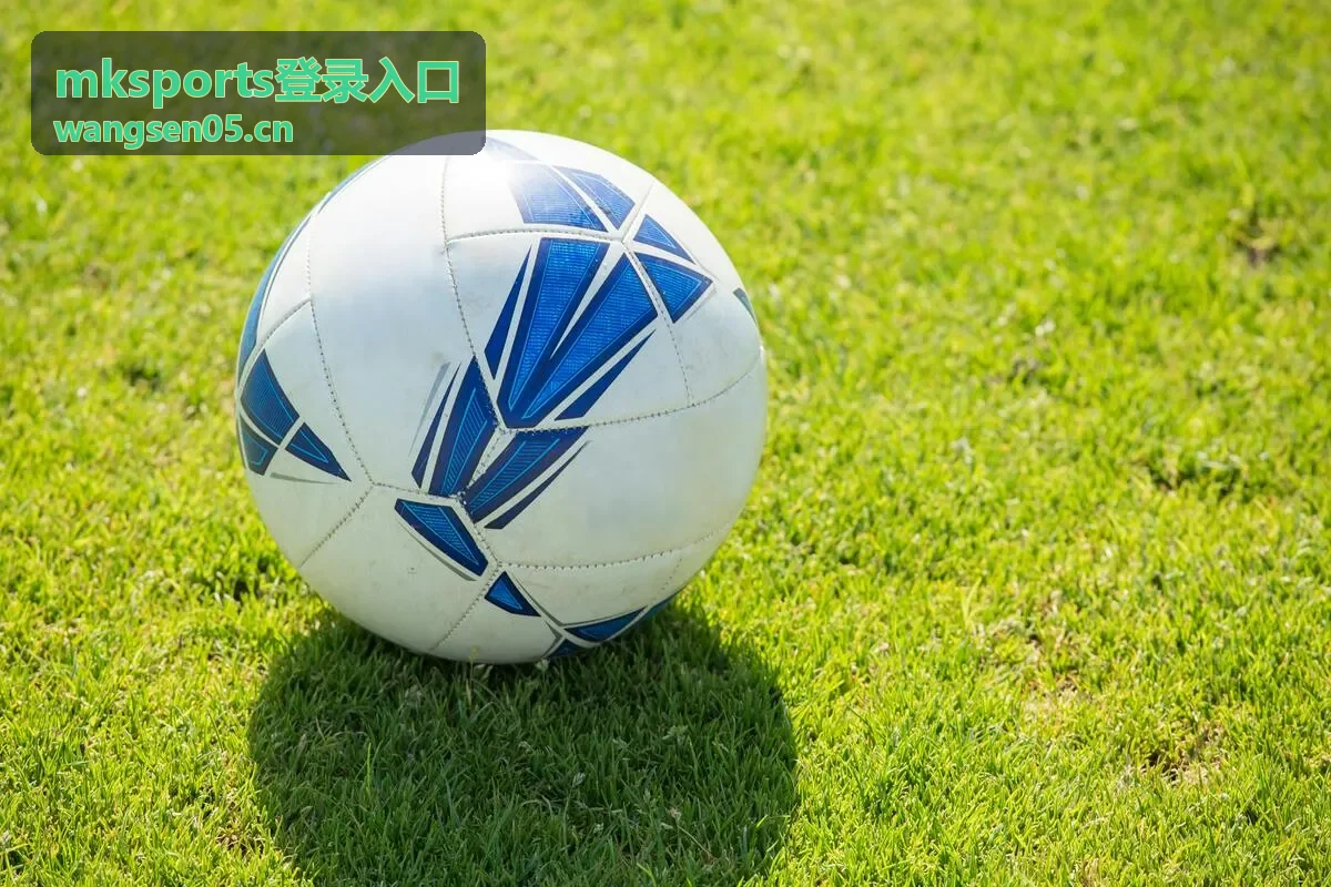 mksports登录入口平板与大屏登录界面