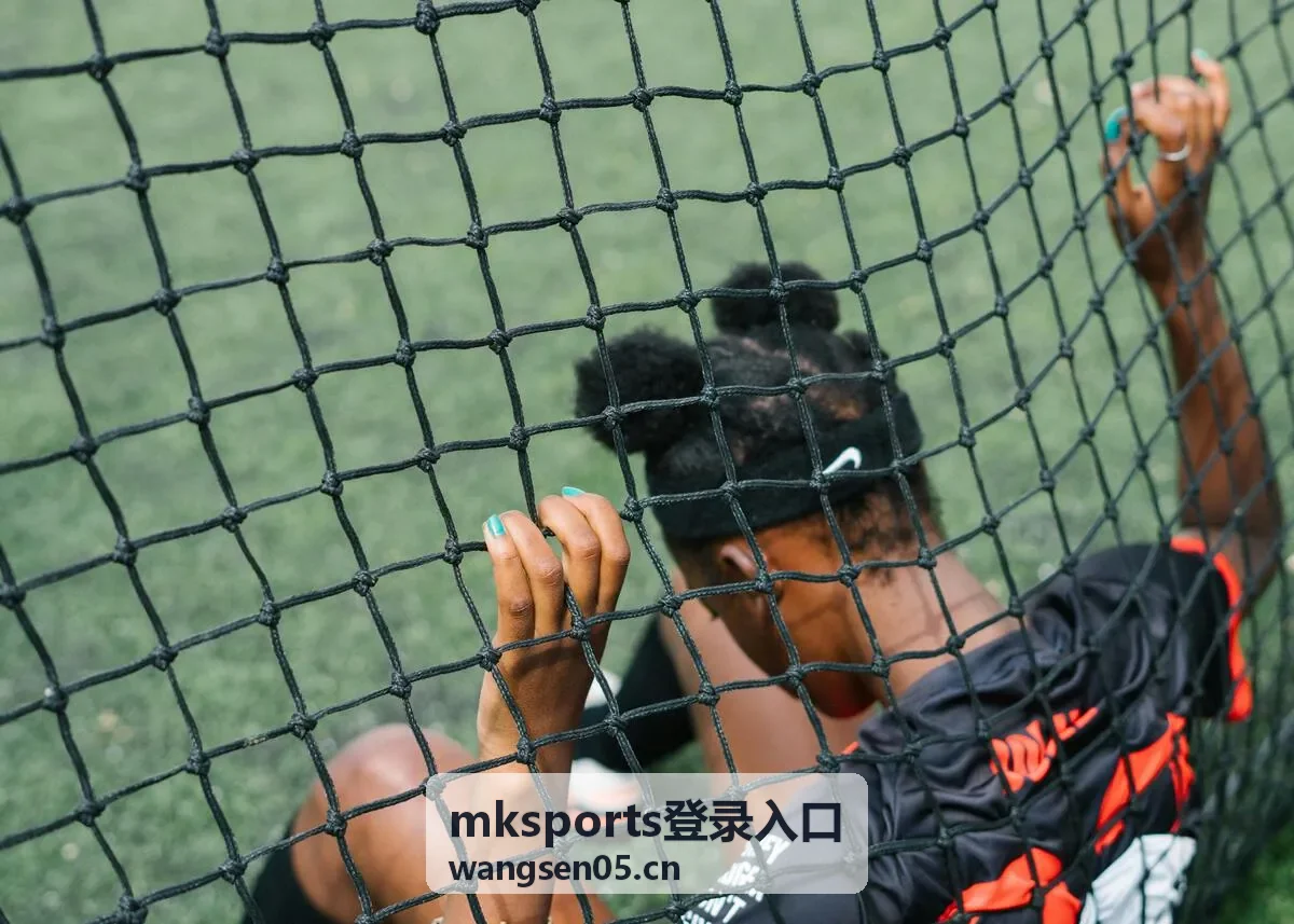 mksports登录入口网络环境检查